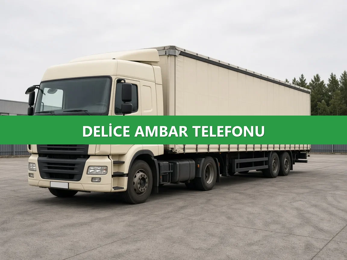 Delice Ambar Telefonu